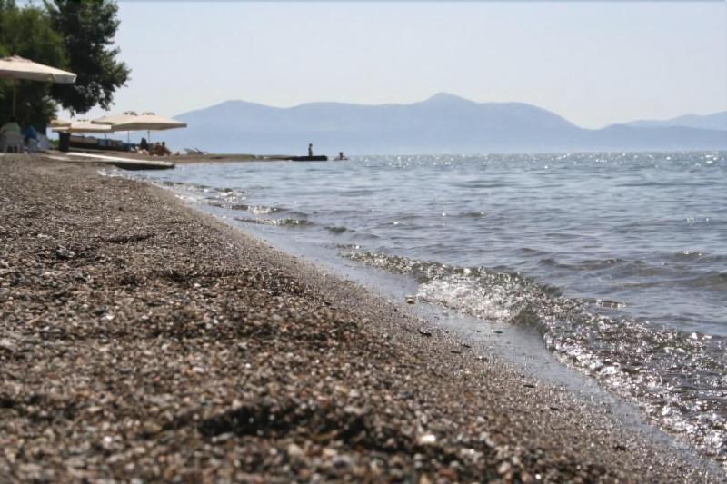 Posidonia Pension Амаринтос Экстерьер фото