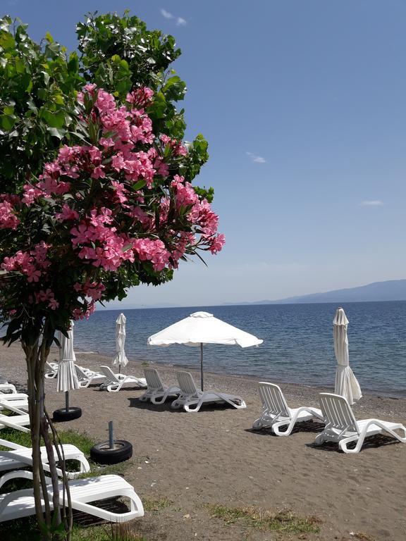 Posidonia Pension Амаринтос Экстерьер фото